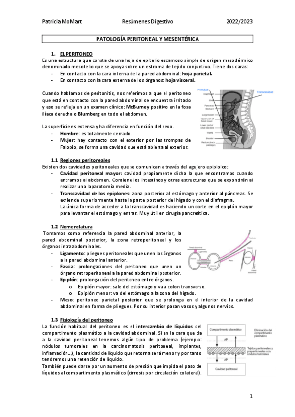 Miniatura del documento Patologia-peritoneal-y-mesenterica.pdf