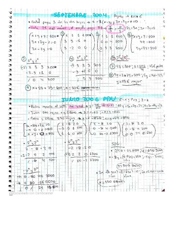 Miniatura del documento GAUSS-2.pdf