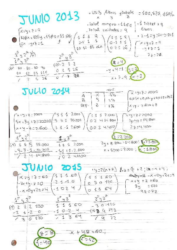 Miniatura del documento GAUSS-13.pdf