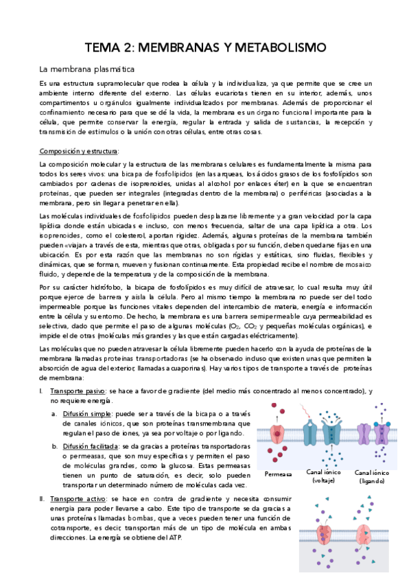 Miniatura del documento Apuntes-bio.pdf