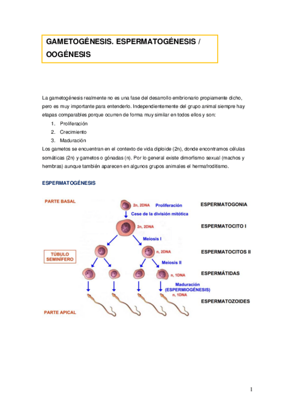 Miniatura del documento 1.pdf
