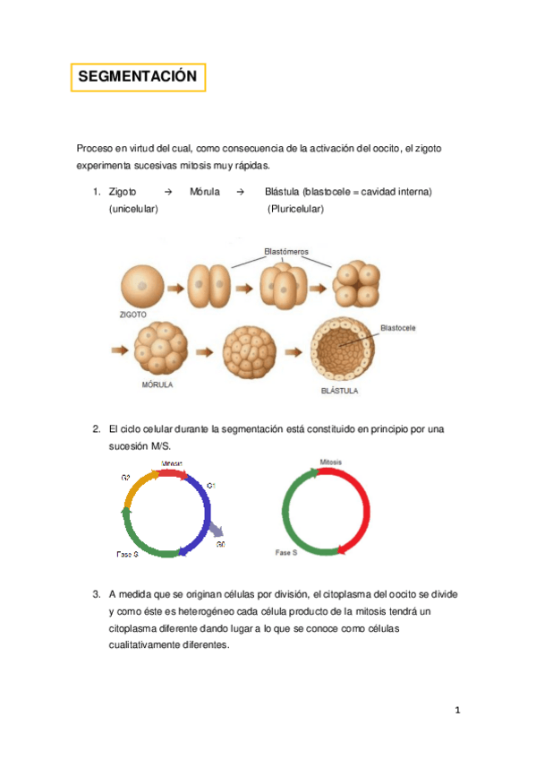 Miniatura del documento 3.pdf