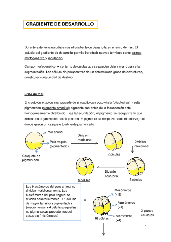 Miniatura del documento 4.pdf