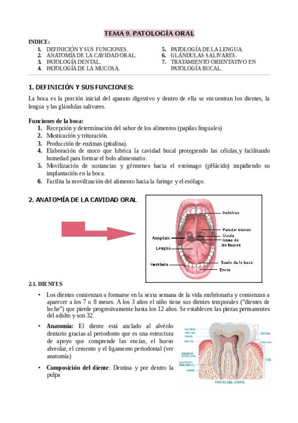 Miniatura del documento TEMA-9.pdf