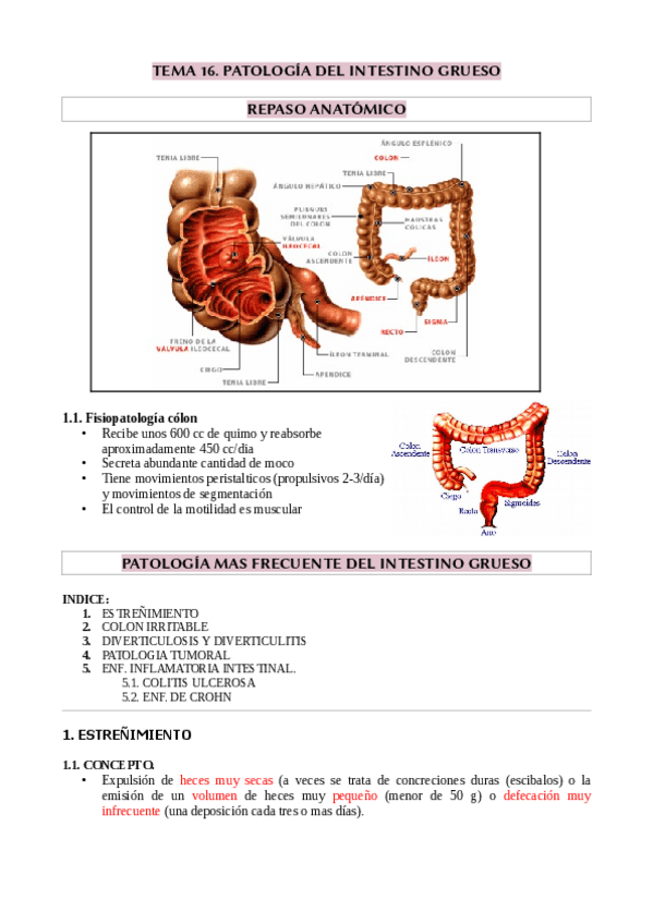Miniatura del documento TEMA-16.pdf