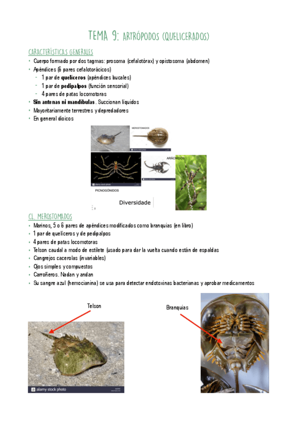 Miniatura del documento T9.pdf