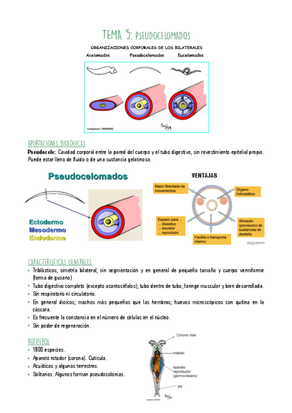 Miniatura del documento T5.pdf