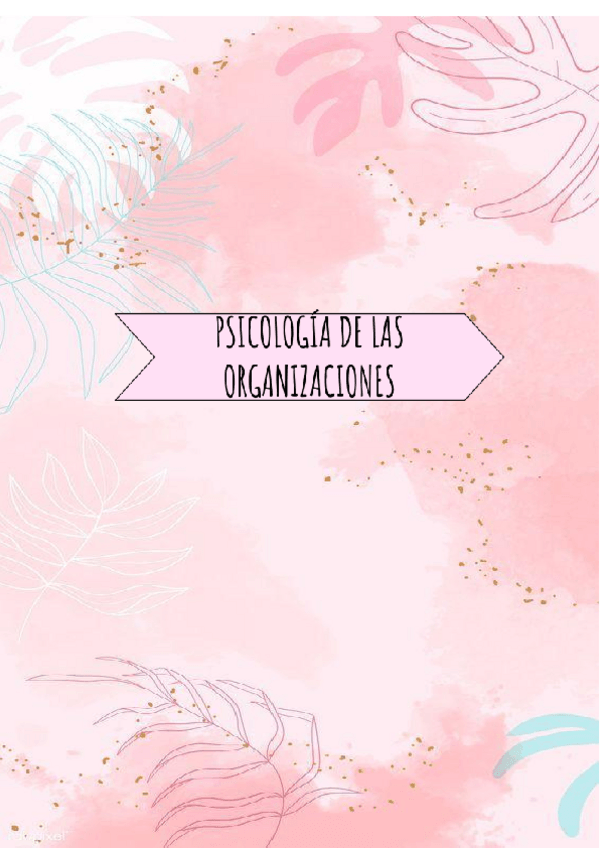 Miniatura del documento ORGANIZACIONES-PORTADA.pdf