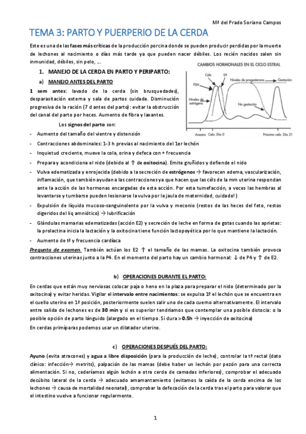 Miniatura del documento 3.pdf