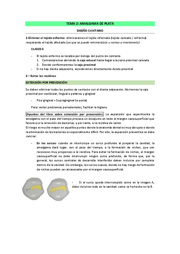 Miniatura del documento Tema-2-Amalgama-de-plata.pdf
