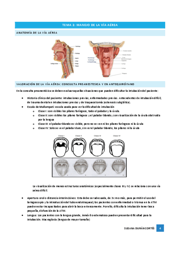Miniatura del documento TEMA 2