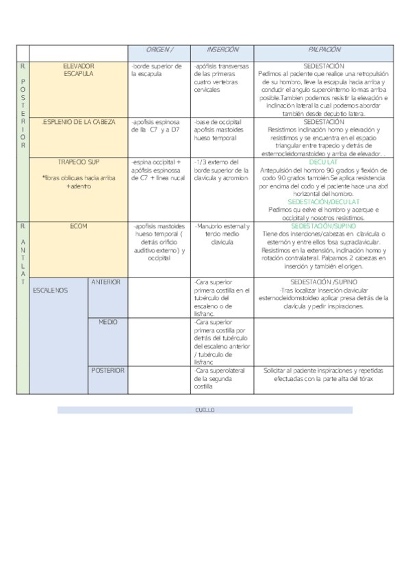 Miniatura del documento ORIGEN-E-INSERCION-PALPACION.pdf