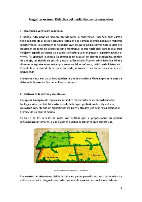 Miniatura del documento Preguntas-examen.pdf