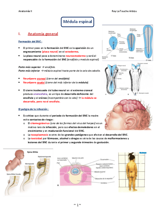 Miniatura del documento Tema 3