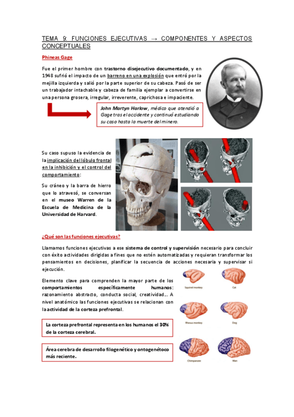Miniatura del documento Apuntes-Tema-9.pdf