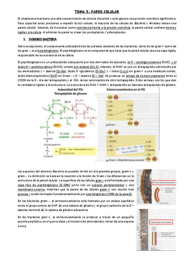 Miniatura del documento TEMA-5.pdf