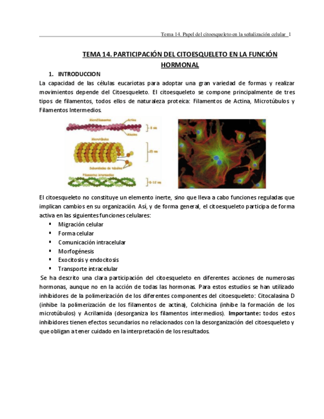 Miniatura del documento TEMA-14.pdf