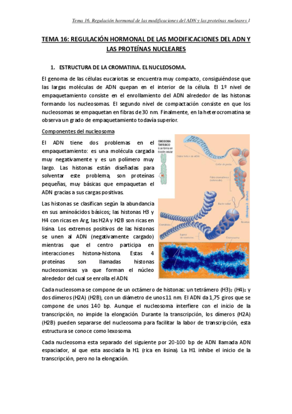 Miniatura del documento TEMA-16.pdf