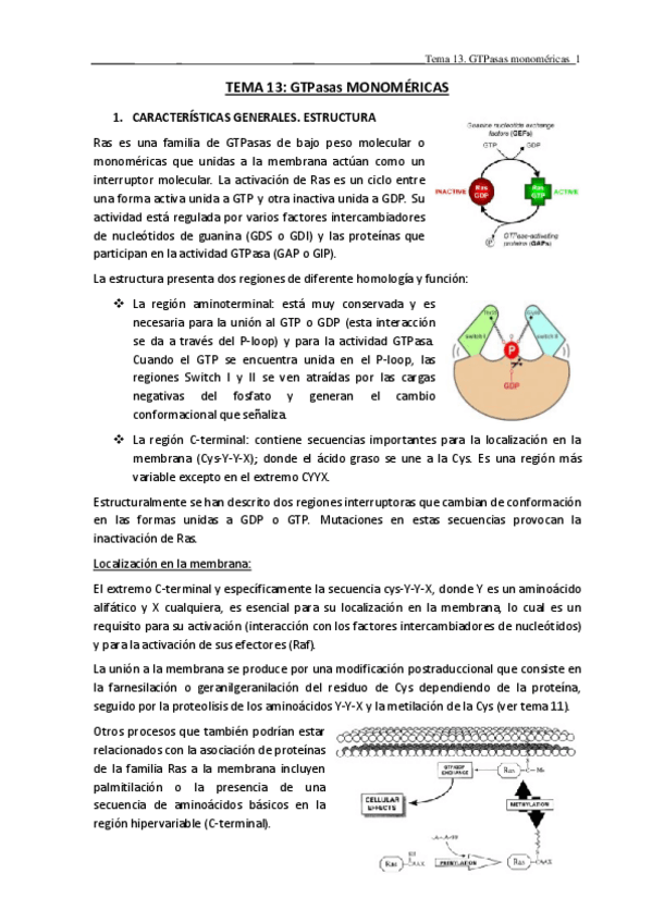 Miniatura del documento TEMA-13.pdf