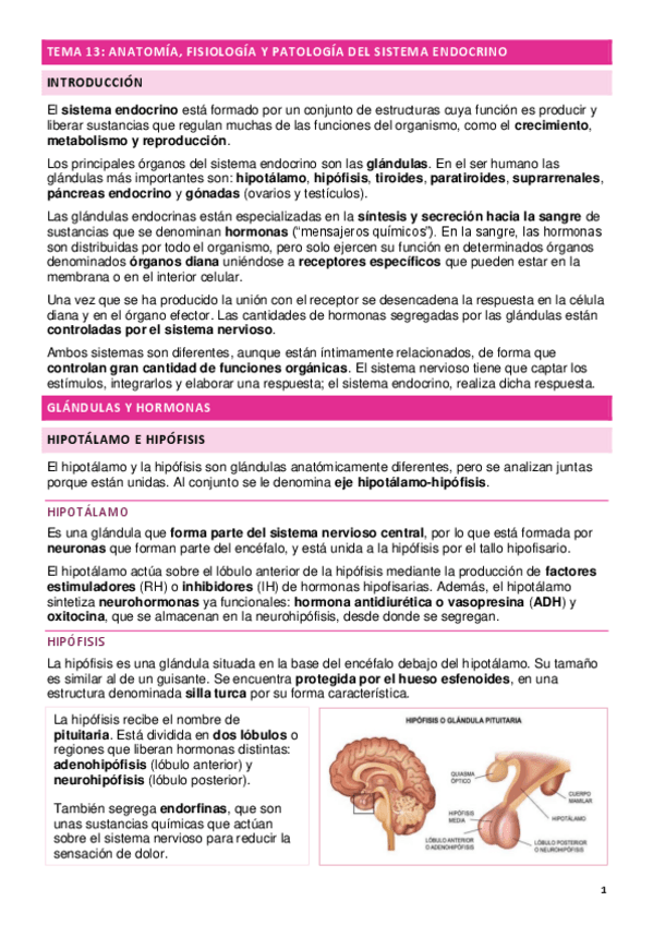 Miniatura del documento TEMA-13-.pdf