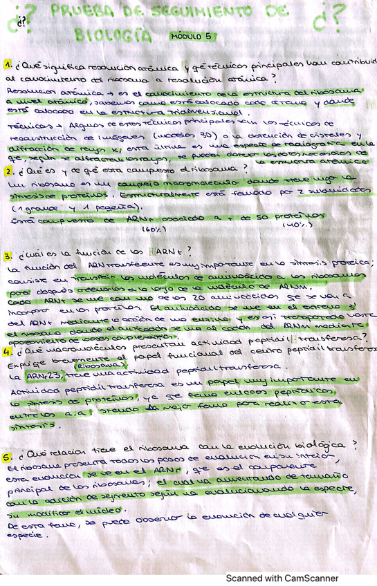 Miniatura del documento Modulo-5-Preguntas-y-presentacion-oral.pdf