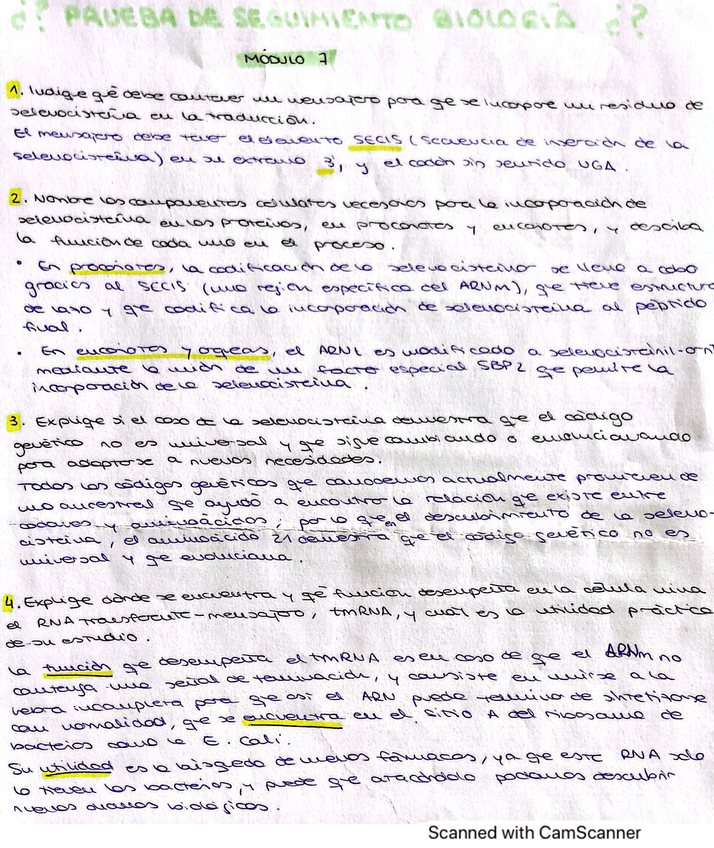 Miniatura del documento Modulo-7-Preguntas.pdf