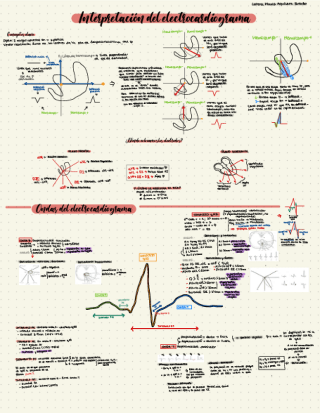 Miniatura del documento Interpretacion-ECG-Lorena.pdf