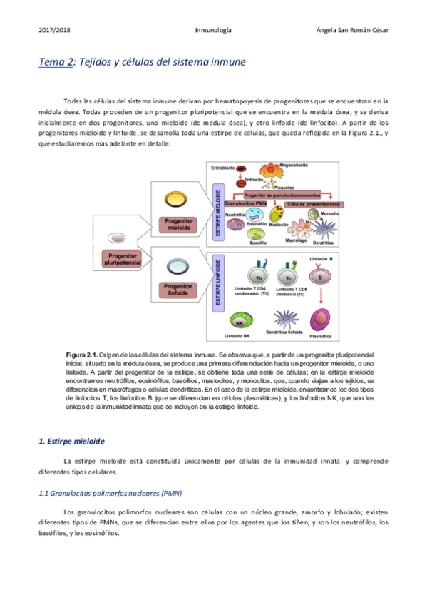 Miniatura del documento 2. Tejidos y células del sistema inmune.pdf