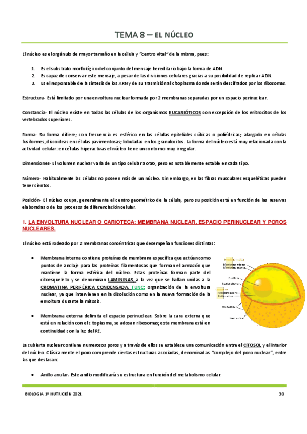 Miniatura del documento Tema-8.pdf