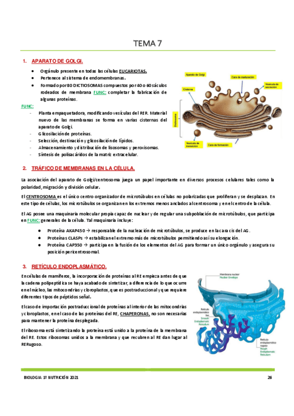 Miniatura del documento Tema-7.pdf