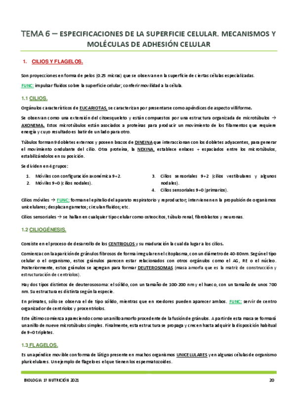 Miniatura del documento Tema-6.pdf