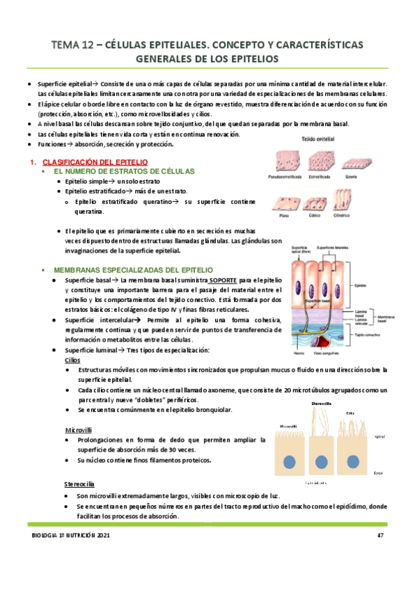 Miniatura del documento Tema-12.pdf