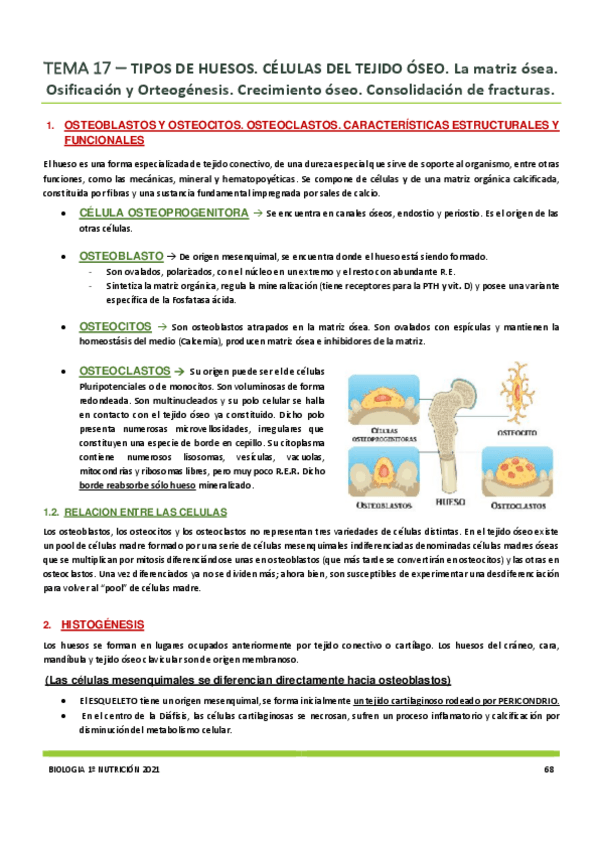 Miniatura del documento Tema-17.pdf