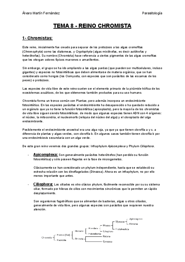 Miniatura del documento TEMA-8-REINO-CHROMISTA.pdf