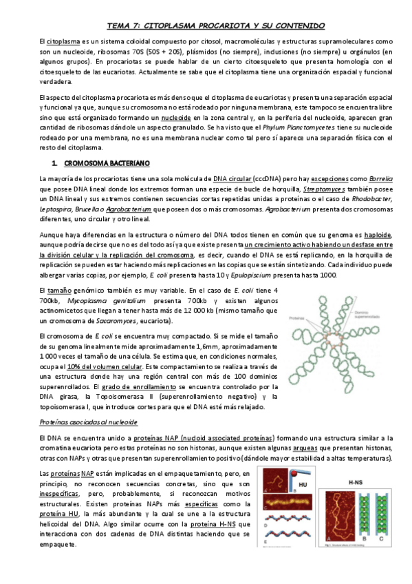Miniatura del documento TEMA-7.pdf