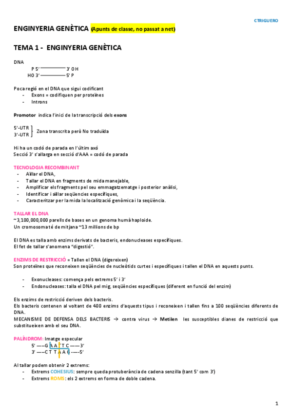 Miniatura del documento TOT ENGINYERIA GENÈTICA (1 únic doc).pdf