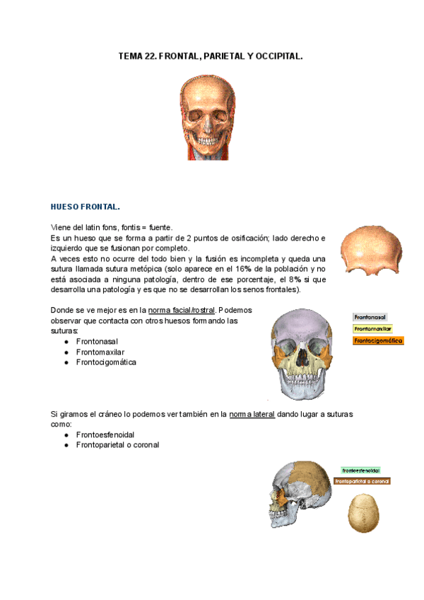 Miniatura del documento TEMA-22-FRONTALPARIETAL-OCCIPITAL.pdf