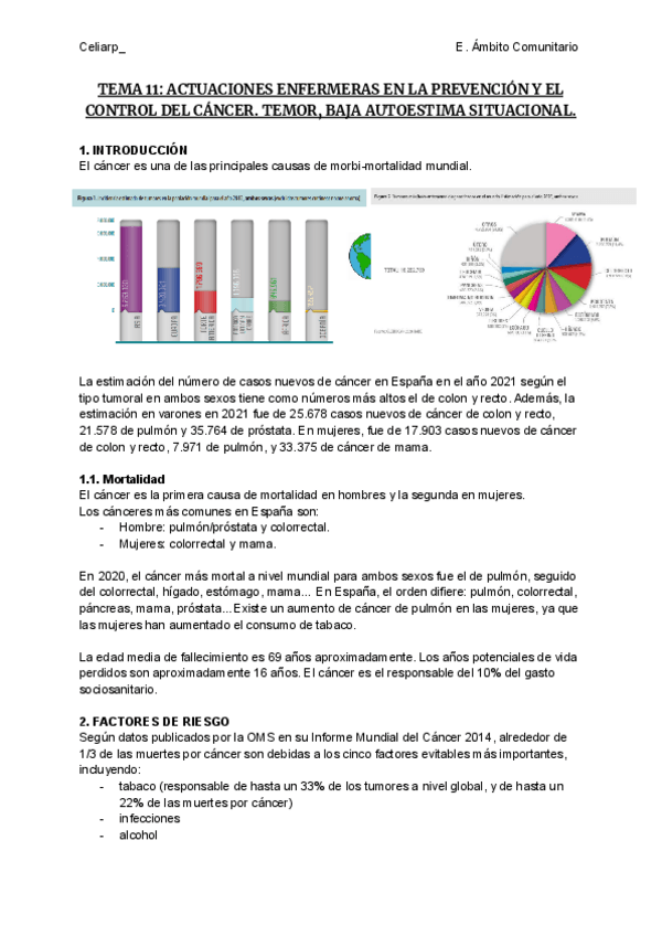 Miniatura del documento TEMA-11-ACTUACIONES-ENFERMERAS-EN-LA-PREVENCION-Y-EL-CONTROL-DEL-CANCER.pdf