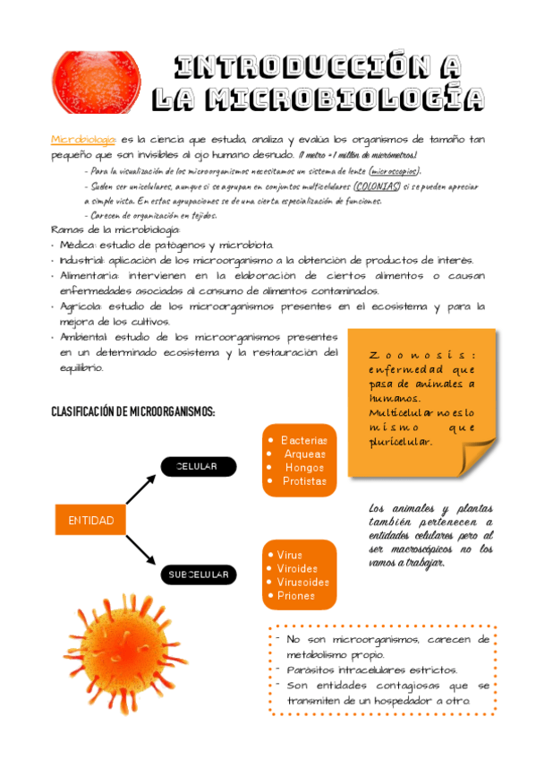 Miniatura del documento TEMA-1.pdf