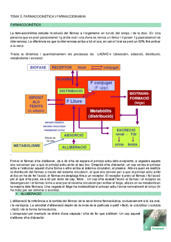 Miniatura del documento TEMA-2-FARMACOCINETICA-I-FARMACODINAMIA-.pdf