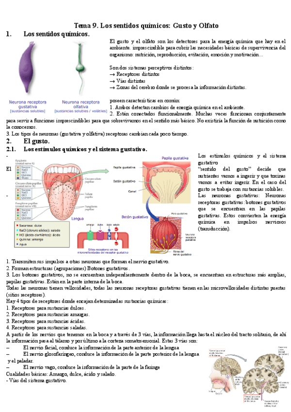 Miniatura del documento tema-9.pdf
