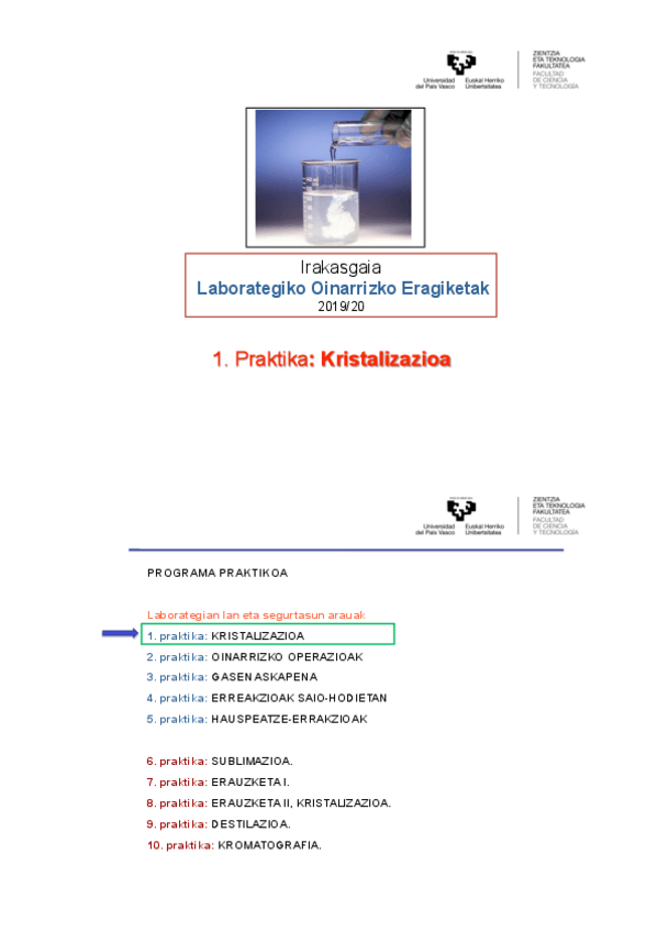 Miniatura del documento 1Pkristamintegia2019.pdf