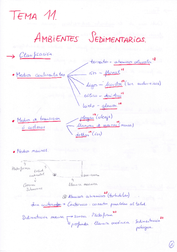 Miniatura del documento Tema 11 Ambientes Sedimentarios.pdf