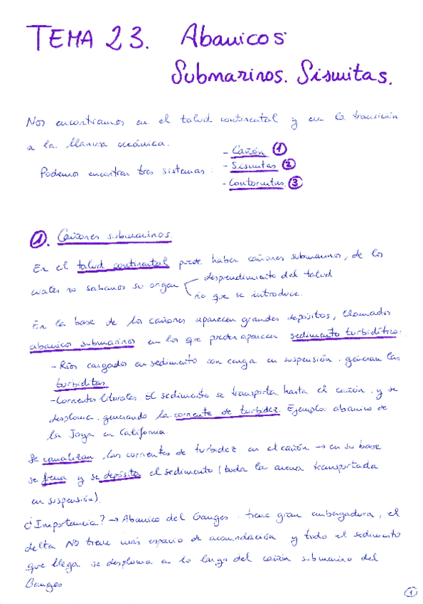 Miniatura del documento Tema 23 Abanicos Submarinos.pdf