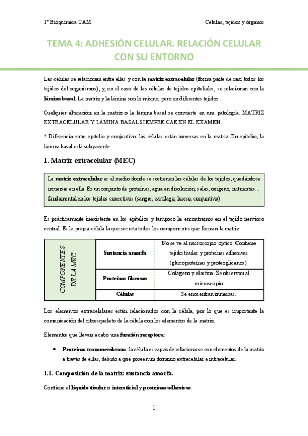 Miniatura del documento TEMA-4.pdf