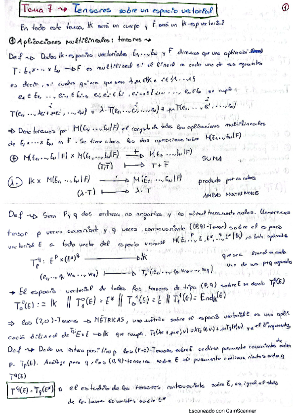 Miniatura del documento ALG2-TEMA-7.pdf
