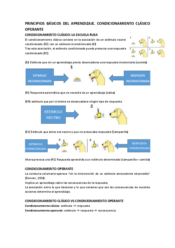 Miniatura del documento PRINCIPIOS-BASICOS-DEL-APRENDIZAJE.pdf