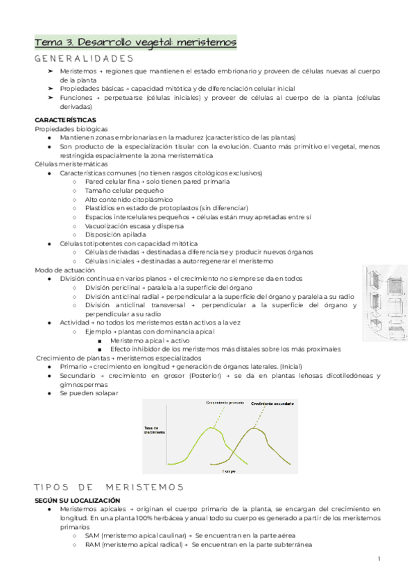 Miniatura del documento Tema-3.pdf