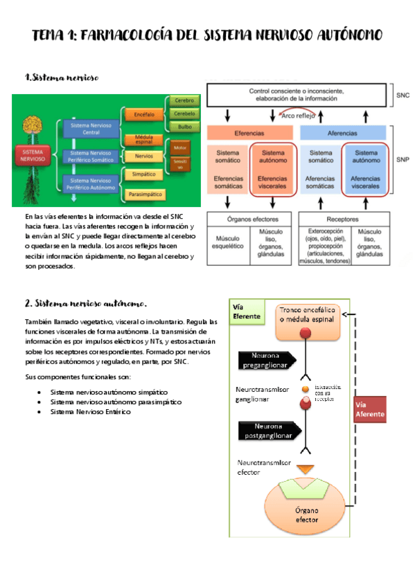 Miniatura del documento TEMA-1.pdf