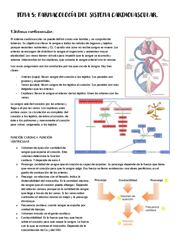 Miniatura del documento TEMA-5.pdf